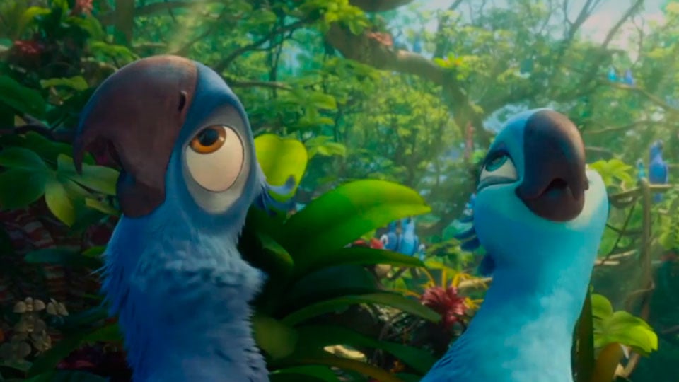 Rio 2. Рио Голубчик и Найджел. Рио Найджел и Жемчужинка. Рио2 Альберто. Rio 2 Blu 2014.