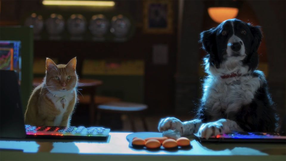 Tráiler de la película Como perros y gatos: La patrulla unida - Cats ...